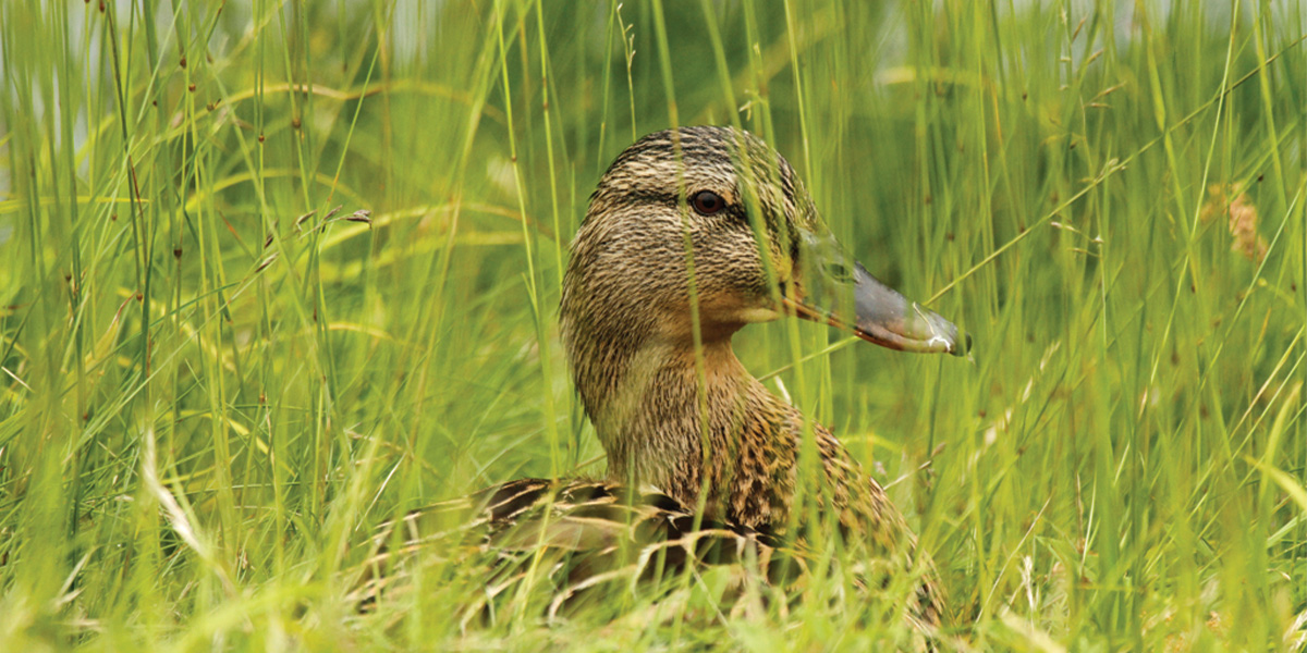 DU Youth at an Event